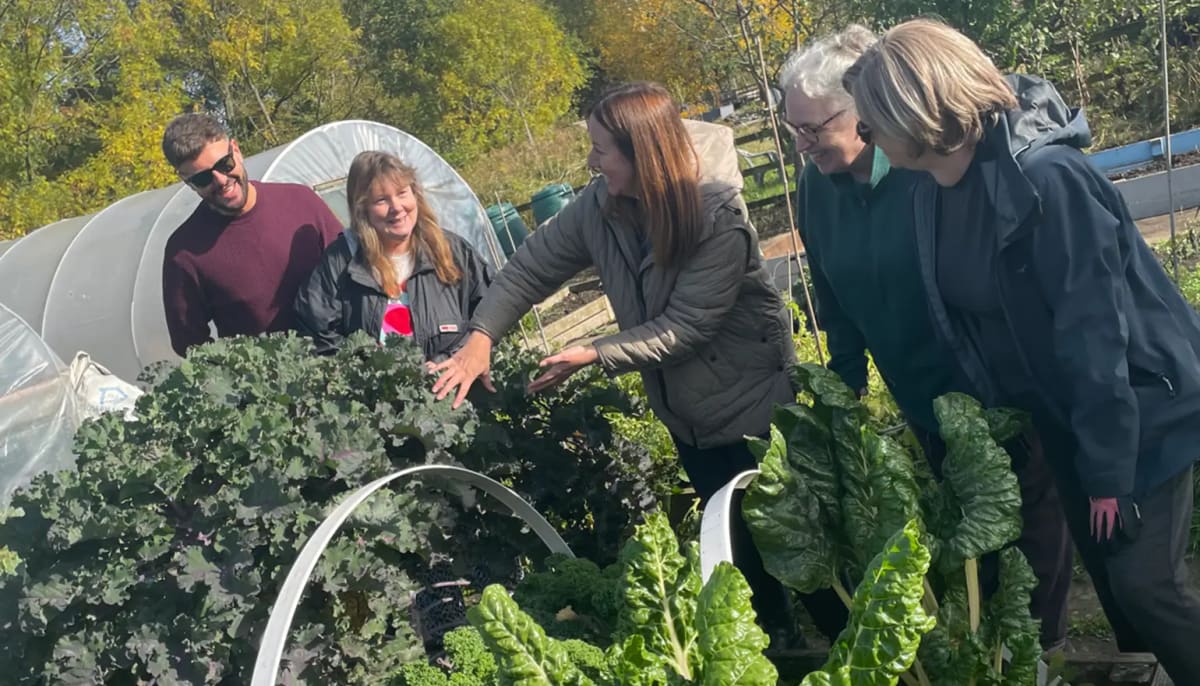 Darlington's Grow, Learn, Thrive Course Offers Free Gardening and Job Skills — Darlington news photo (Darlington Borough Council)